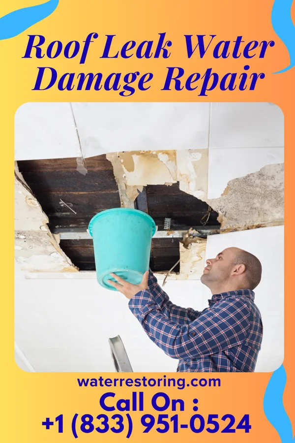 Roof Leak Water Damage Repair in Hull, IL